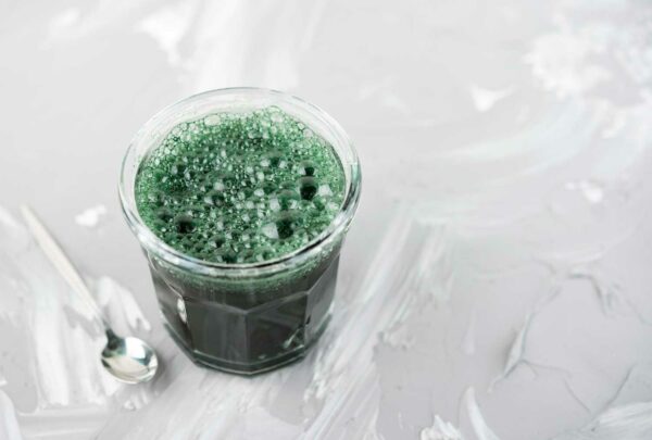 SPIRULINA EN POLVO - Imagen 2